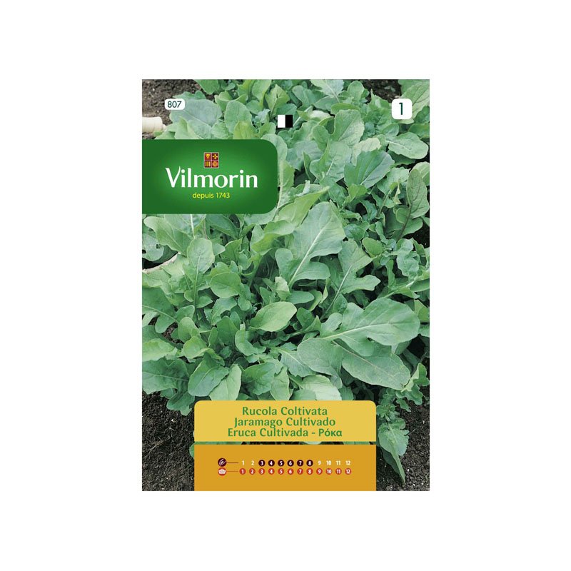 SEMILLAS JARAMAGO Cultivado Vilmorin - Sobre 10 g
