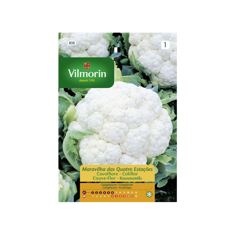 SEMILLAS COLIFLOR Cuatro Estaciones Vilmorin - Sobre 2 g