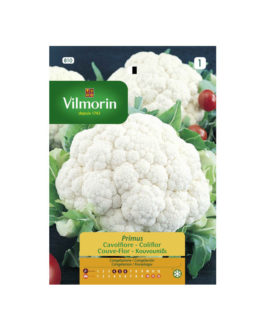SEMILLAS COLIFLOR Gigante Otoño Primus Vilmorin – Sobre 2 g