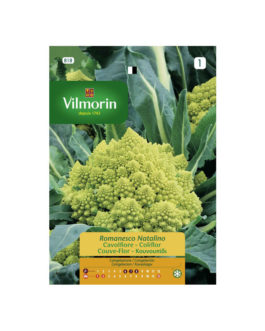 SEMILLAS COLIFLOR Romanesco Natalino Vilmorin – Sobre 5 g