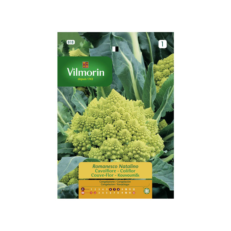 SEMILLAS COLIFLOR Romanesco Natalino Vilmorin - Sobre 5 g