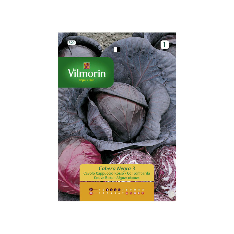 SEMILLAS COL LOMBARDA Cabeza Negra 3 Vilmorin - Sobre 6 g