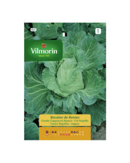 SEMILLAS COL REPOLLO Bacalan de Rennes Vilmorin – Sobre 6 g