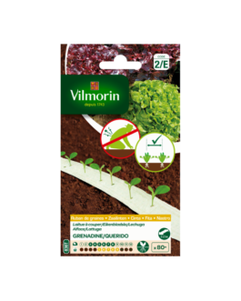 CINTAS SEMILLAS LECHUGA GRENADINE / QUERIDO Vilmorin – 2 m