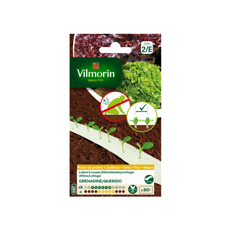 CINTAS SEMILLAS LECHUGA GRENADINE / QUERIDO Vilmorin - 2 m
