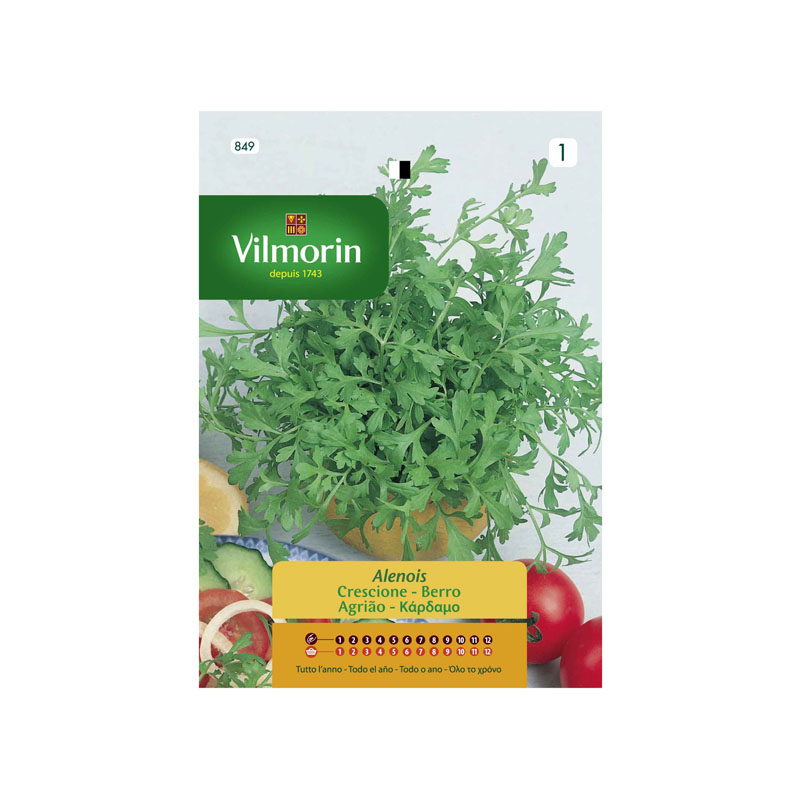 SEMILLAS BERRO Alenois Vilmorin - Sobre 7 g