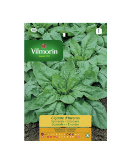 SEMILLAS ESPINACA Gigante de Invierno Vilmorin – Sobre 15 g