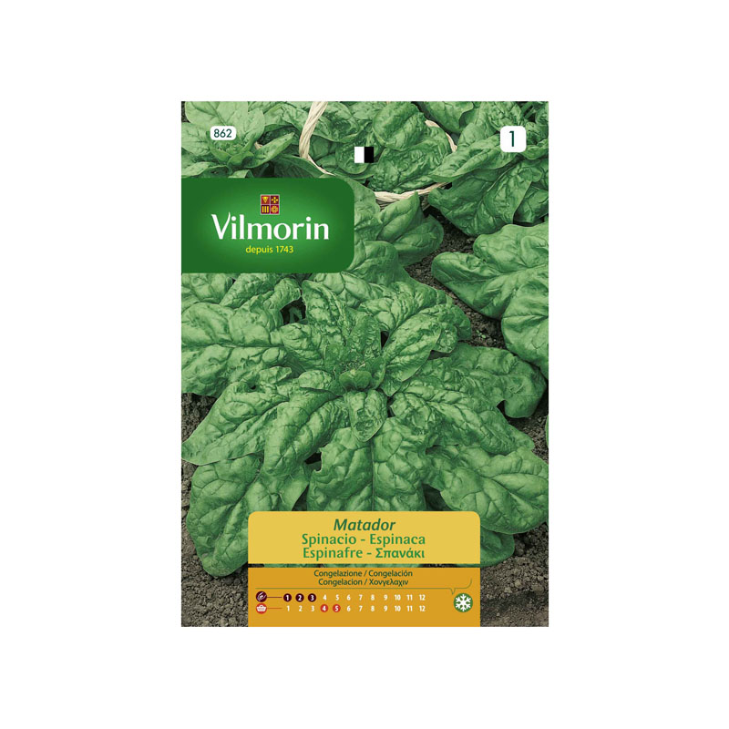 SEMILLAS ESPINACA Matador Vilmorin - Sobre 15 g
