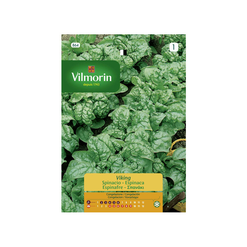 SEMILLAS ESPINACA Viking Vilmorin - Sobre 15 g