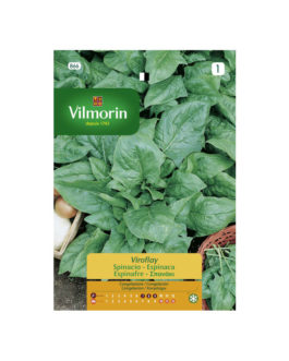 SEMILLAS ESPINACA Viroflay Vilmorin – Sobre 15 g
