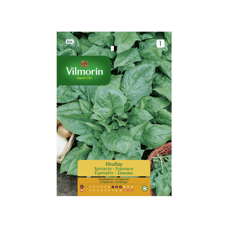 SEMILLAS ESPINACA Viroflay Vilmorin - Sobre 15 g