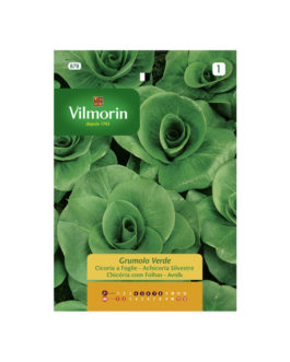 SEMILLAS ACHICORIA Silvestre Grumolo Verde Vilmorin – Sobre 5 g