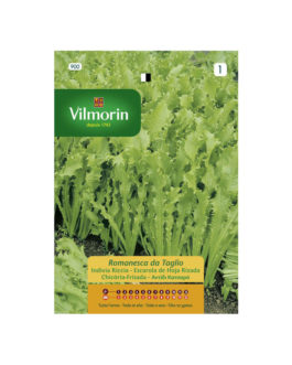 SEMILLAS ESCAROLA Hoja Rizada Romanesca da Taglio Vilmorin – Sobre 8 g