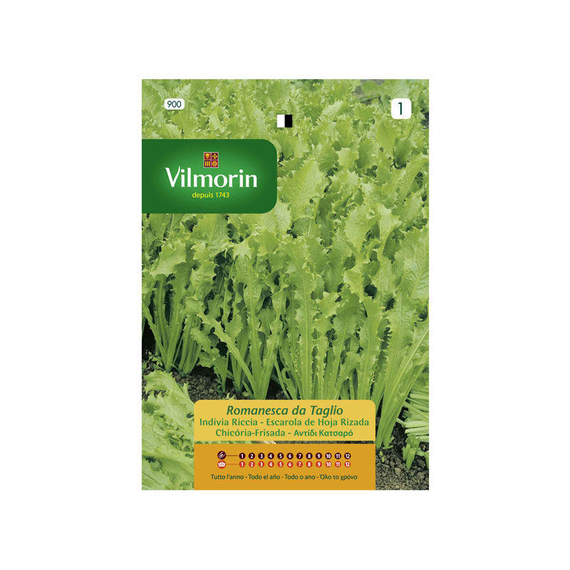 SEMILLAS ESCAROLA Hoja Rizada Romanesca da Taglio Vilmorin - Sobre 8 g