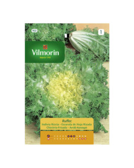 SEMILLAS ESCAROLA Hoja Rizada Ruffec Vilmorin – Sobre 8 g