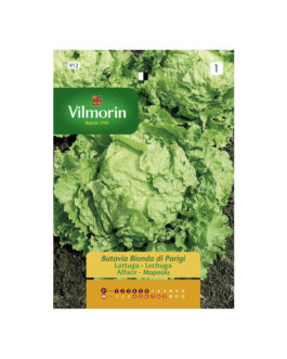 SEMILLAS LECHUGA Batavia Bionda Paris Vilmorin – Sobre 7 g