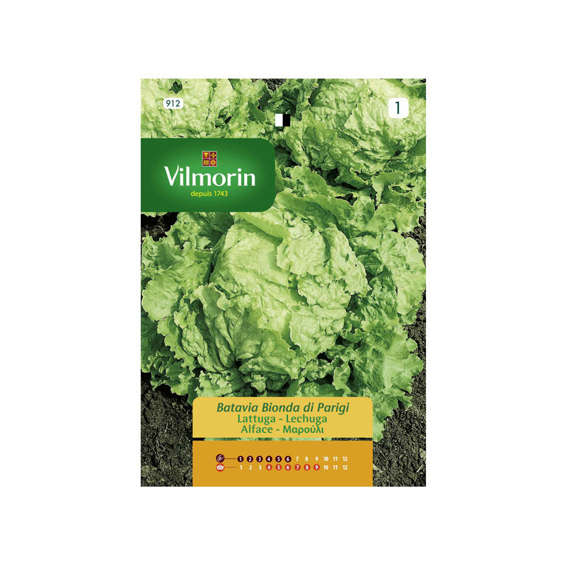 SEMILLAS LECHUGA Batavia Bionda Paris Vilmorin - Sobre 7 g