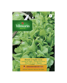 SEMILLAS LECHUGA de Cortar Bionda a Foglia Liscia Vilmorin – Sobre 7 g