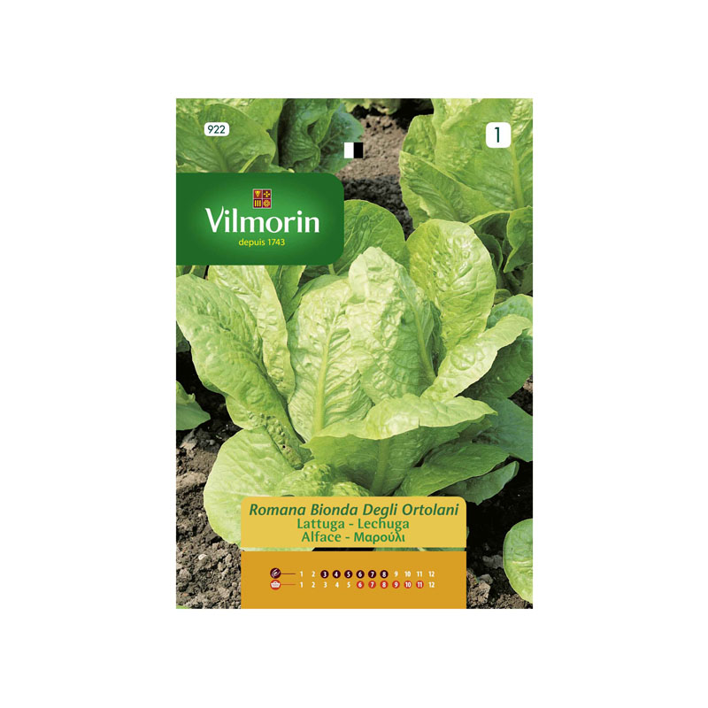 SEMILLAS LECHUGA Romana Bionda Degli Ortolani Vilmorin - Sobre 10 g