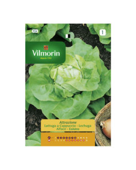 SEMILLAS LECHUGA Attraktion Vilmorin – Sobre 7 g