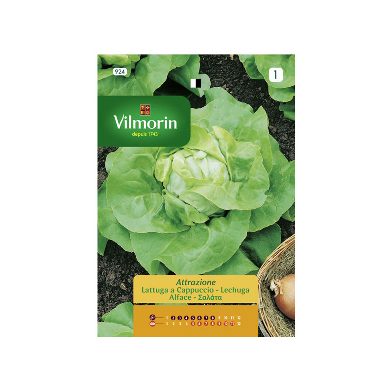 SEMILLAS LECHUGA Attraktion Vilmorin - Sobre 7 g