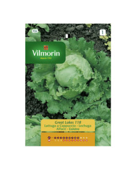 SEMILLAS LECHUGA Grandes Lagos 118 Vilmorin – Sobre 2,5 g