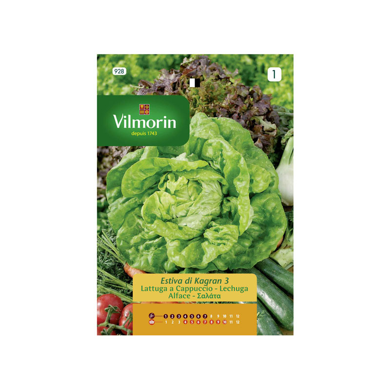 SEMILLAS LECHUGA Kagraner Sommer 3 Vilmorin - Sobre 7 g