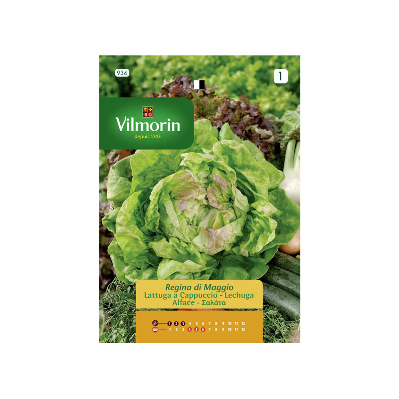 SEMILLAS LECHUGA Reina de Mayo Vilmorin - Sobre 7 g