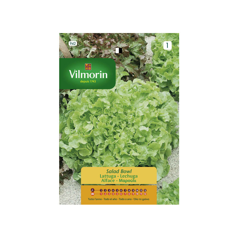 SEMILLAS LECHUGA Salad Bowl Vilmorin - Sobre 7 g