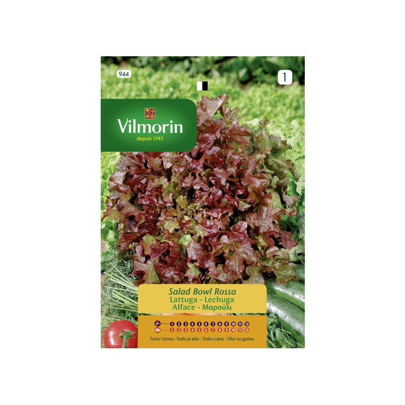SEMILLAS LECHUGA Red Salad Bowl Vilmorin - Sobre 7 g