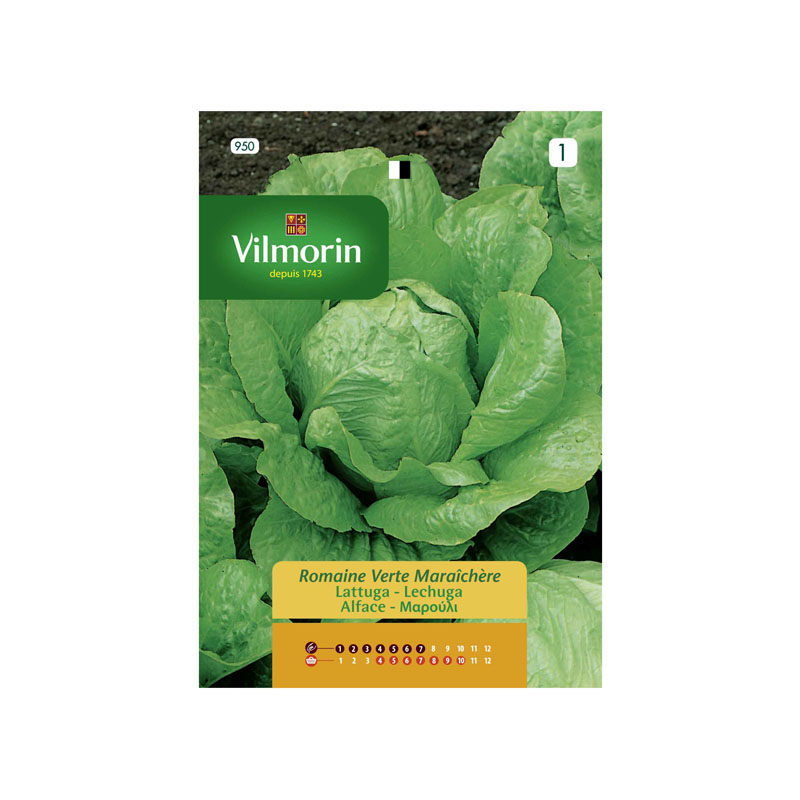 SEMILLAS LECHUGA Romana Verte Maraîchère Vilmorin - Sobre 10 g