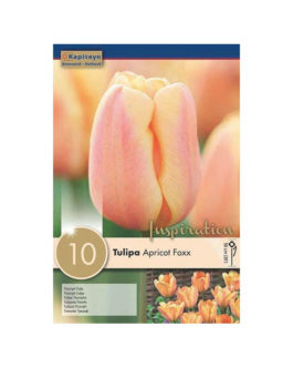 Bolsa Tulipán Apricot Foxx