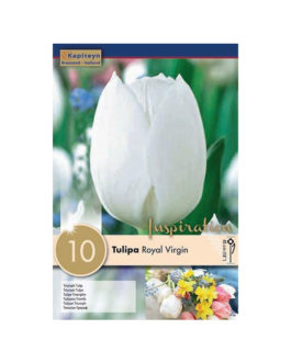 Bolsa Tulipán Royal Virgin