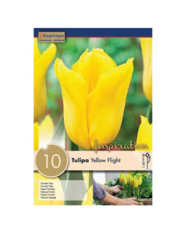 Bolsa Tulipán Yellow Flight