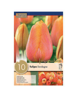Bolsa Tulipán Dordogne