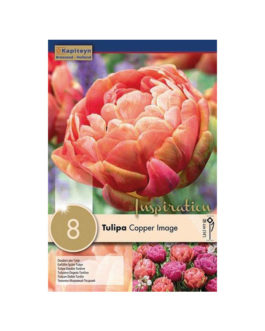 Bolsa Tulipán Copper Image