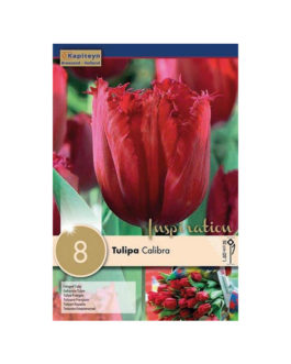 Bolsa Tulipán Calibra