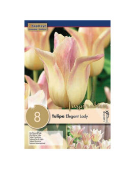 Bolsa Tulipán Elegant Lady