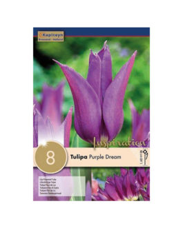 Bolsa Tulipán Purple Dream