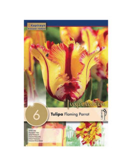 Bolsa Tulipán Flaming Parrot