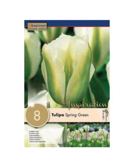Bolsa Tulipán Spring Green