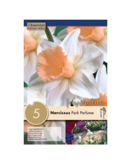 Bolsa Narcissus Park Perfume