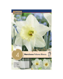 Bolsa Narcissus Paloma Blanca
