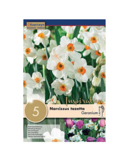 Bolsa Narcissus tazetta  Geranium