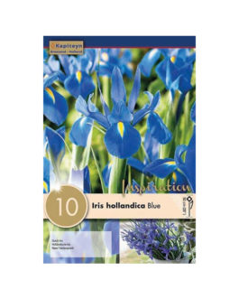 Bolsa Iris hollandica Blue