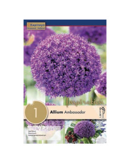 Bolsa Allium Ambassador