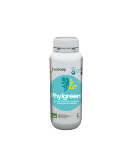 Phylgreen® Vega 1 litro – Extracto de Algas con aminoácidos