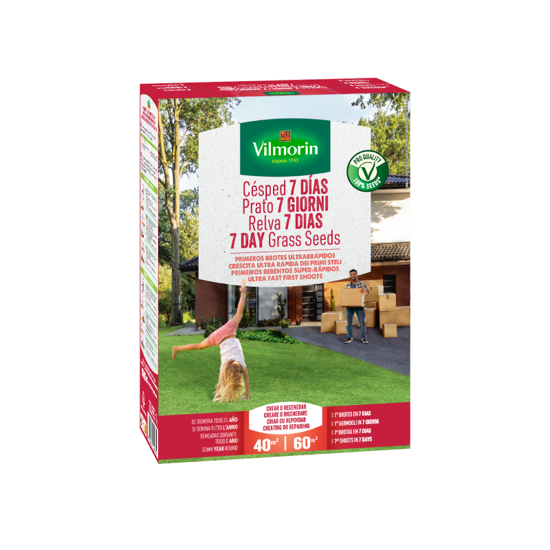 CÉSPED SIETE DÍAS Vilmorin - 1 kg
