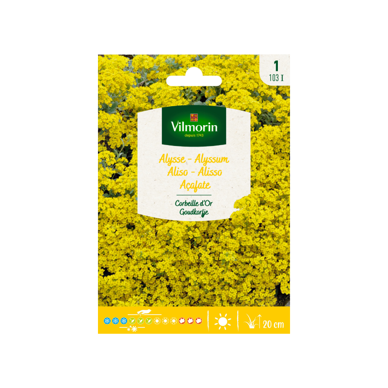 SEMILLAS ALISO Amarillo Corbeille d'Or Vilmorin - Sobre 0,5 g