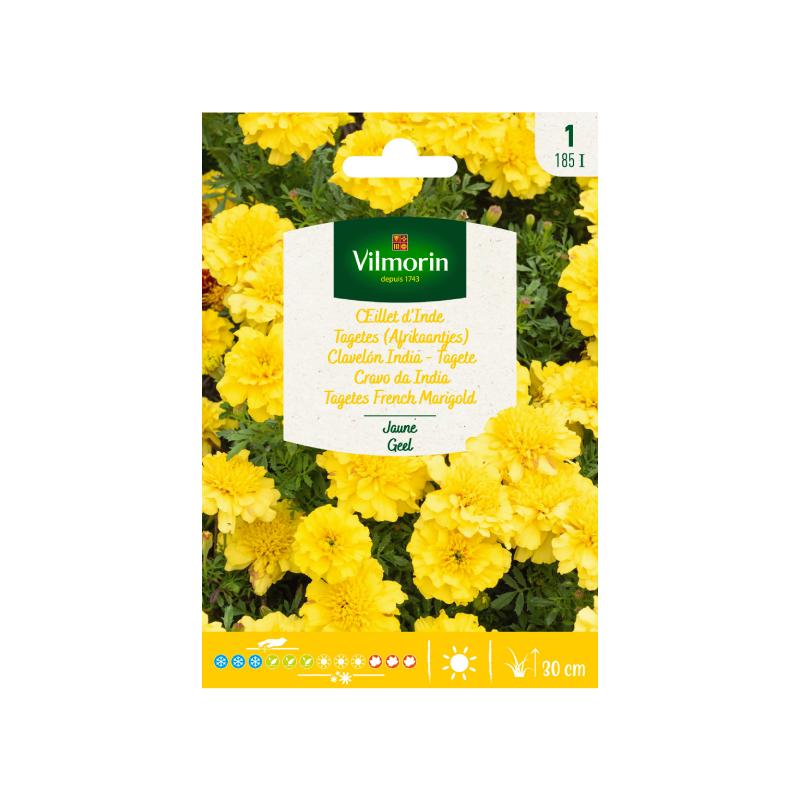 SEMILLAS CLAVELÓN INDIA Amarillo Vilmorin - Sobre 1g